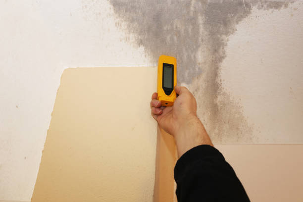 Best Crawl Space Mold Remediation  in Rockmart, GA