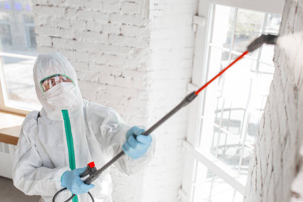 Biohazard Mold Removal in Rockmart, GA