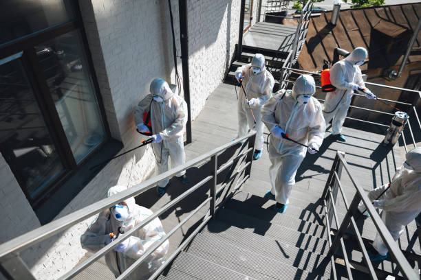 Best Mold Remediation for Healthcare Facilities  in Rockmart, GA