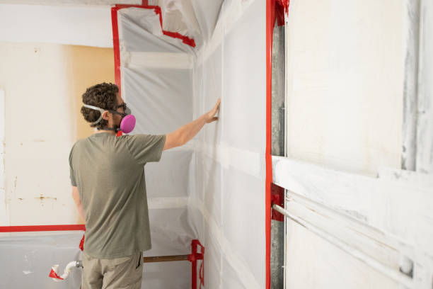 Best HVAC Mold Inspection and Cleaning  in Rockmart, GA