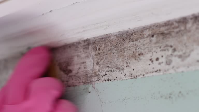 Best Indoor Air Quality Assessment  in Rockmart, GA